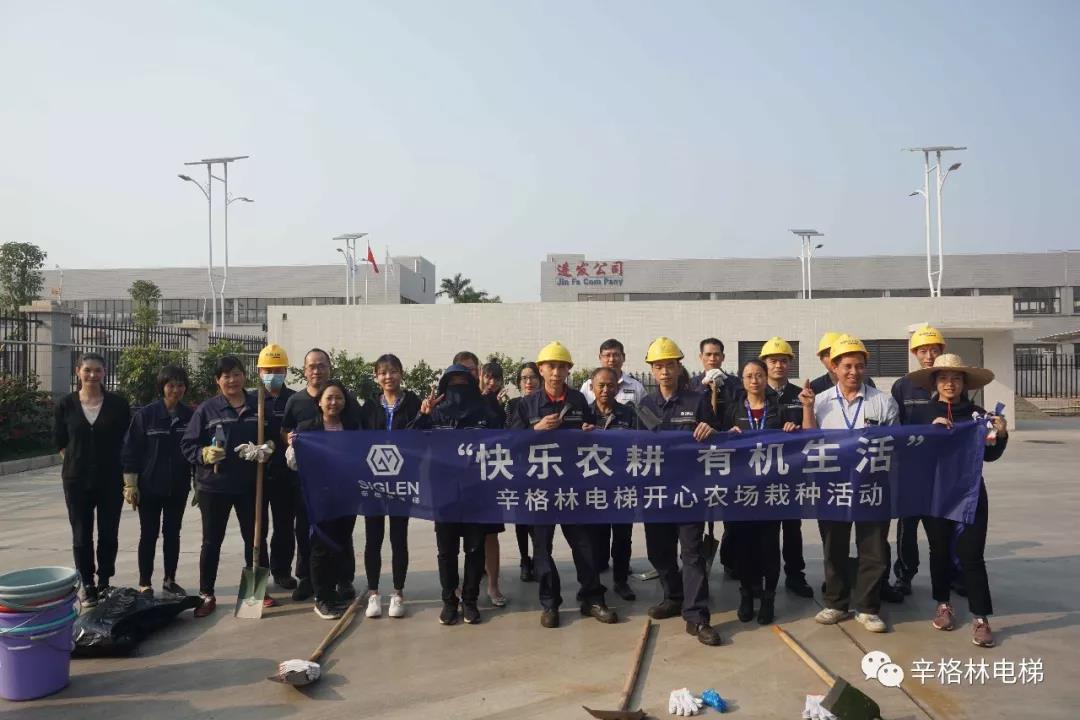 植树节，与摩登7一起快乐栽种