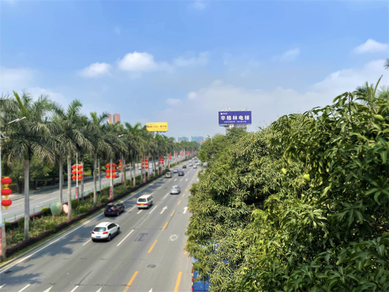 广东品牌电梯有哪些，代理摩登7准没错